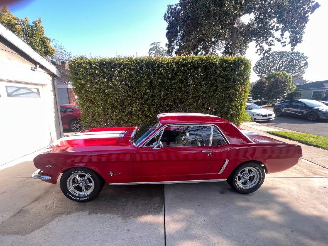 Unknown-Mustang-1965-Red-9
