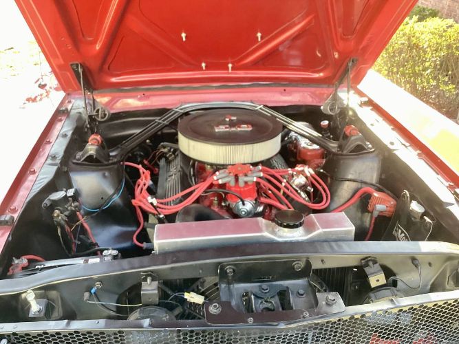 Unknown-Mustang-1965-Red-9