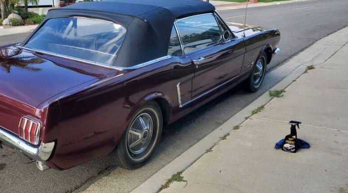 Unknown-Mustang-1965-Red