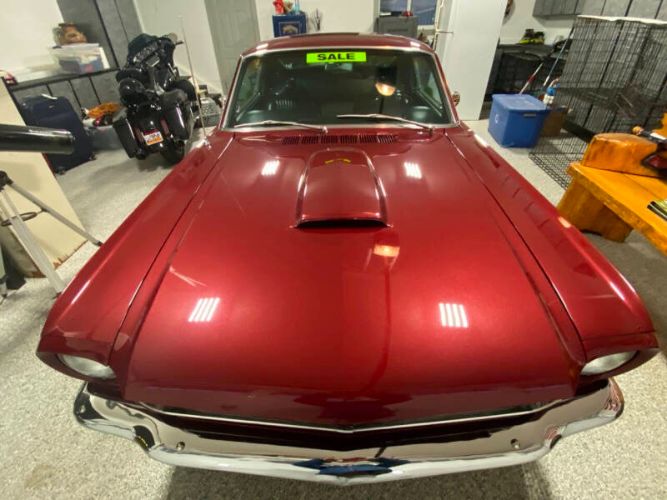 Unknown-Mustang-1965-Red-Black-12
