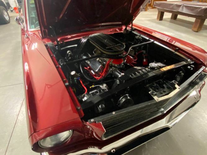 Unknown-Mustang-1965-Red-Black-20