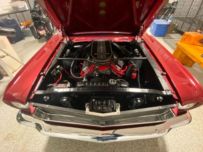 Unknown-Mustang-1965-Red-Black-21