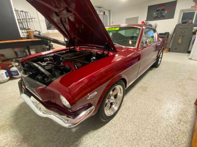 Unknown-Mustang-1965-Red-Black-23