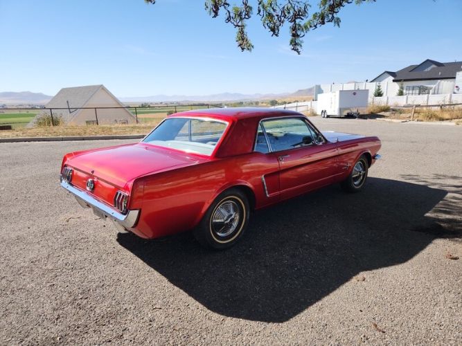 Unknown-Mustang-1965-Red-Gray-3