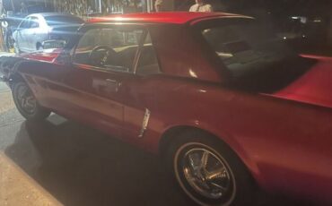 Unknown-Mustang-1965-Red-Gray-6