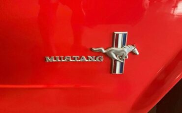 Unknown-Mustang-1965-Red-Red-vinyl-13