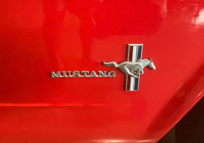 Unknown-Mustang-1965-Red-Red-vinyl-13
