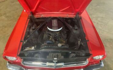 Unknown-Mustang-1965-Red-Red-vinyl-18