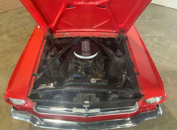 Unknown-Mustang-1965-Red-Red-vinyl-18