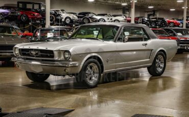Unknown-Mustang-1965-Silver-Black-13