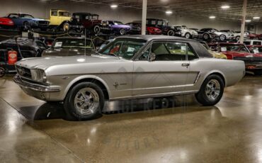 Unknown-Mustang-1965-Silver-Black-14