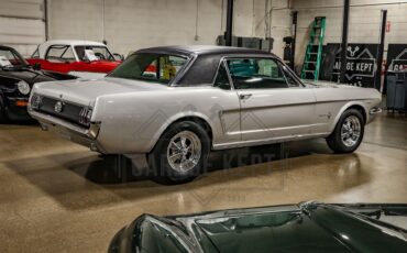 Unknown-Mustang-1965-Silver-Black-19