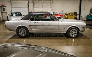 Unknown-Mustang-1965-Silver-Black-20