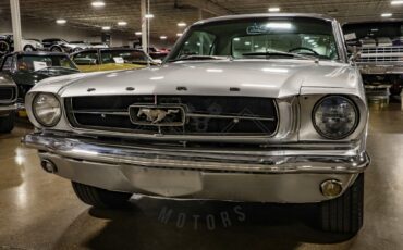 Unknown-Mustang-1965-Silver-Black-28