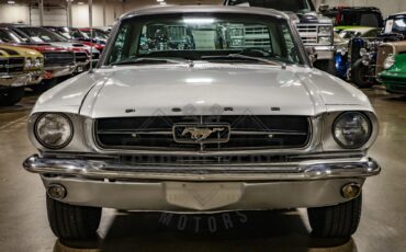 Unknown-Mustang-1965-Silver-Black-29