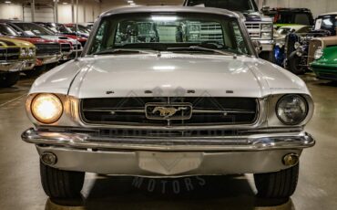 Unknown-Mustang-1965-Silver-Black-30