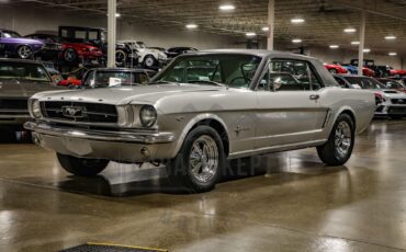 Unknown-Mustang-1965-Silver-Black-35