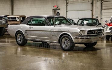 Unknown-Mustang-1965-Silver-Black-43