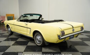 Unknown-Mustang-1965-Springtime-Yellow-Black-13