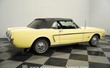 Unknown-Mustang-1965-Springtime-Yellow-Black-17