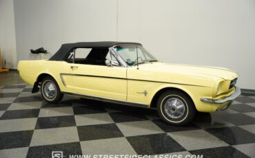 Unknown-Mustang-1965-Springtime-Yellow-Black-19