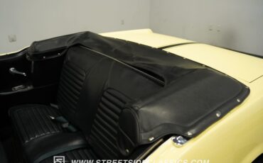 Unknown-Mustang-1965-Springtime-Yellow-Black-2