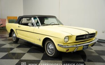 Unknown-Mustang-1965-Springtime-Yellow-Black-20