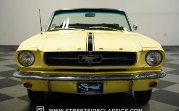 Unknown-Mustang-1965-Springtime-Yellow-Black-21