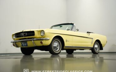 Unknown-Mustang-1965-Springtime-Yellow-Black-24