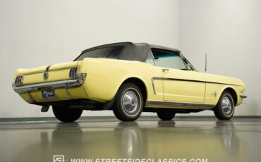Unknown-Mustang-1965-Springtime-Yellow-Black-29