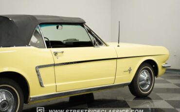 Unknown-Mustang-1965-Springtime-Yellow-Black-30