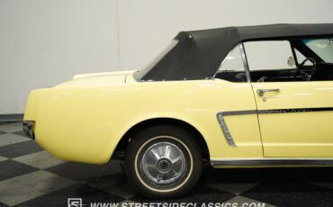 Unknown-Mustang-1965-Springtime-Yellow-Black-31
