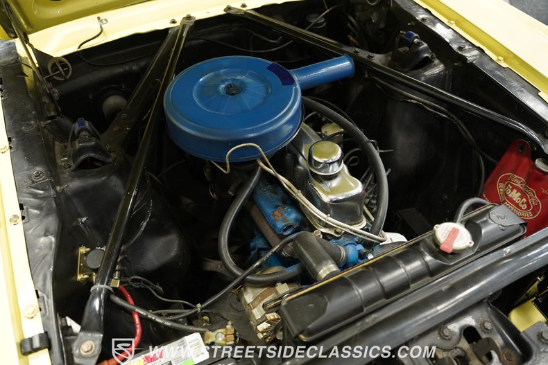 Unknown-Mustang-1965-Springtime-Yellow-Black-33