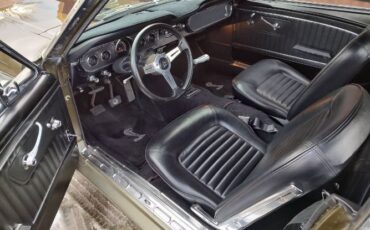Unknown-Mustang-1965-Tawny-Gold-1
