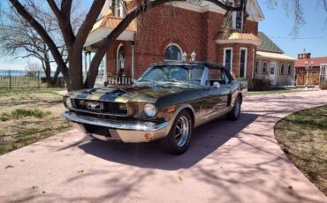 Unknown-Mustang-1965-Tawny-Gold