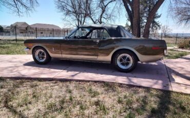 Unknown-Mustang-1965-Tawny-Gold-5