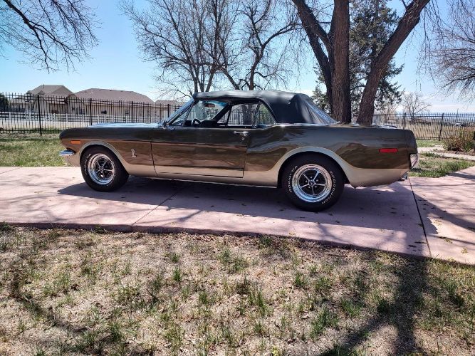 Unknown-Mustang-1965-Tawny-Gold-5