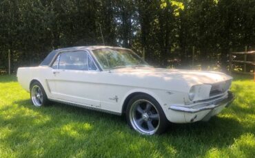Unknown-Mustang-1965-White-1