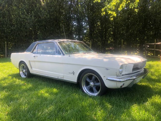 Unknown-Mustang-1965-White-1
