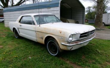 Unknown-Mustang-1965-White-10