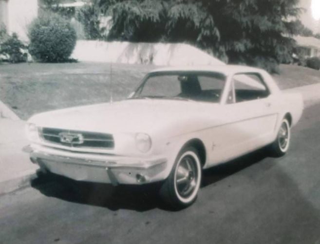 Unknown-Mustang-1965-White-10