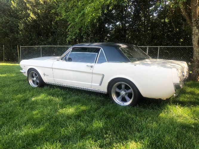 Unknown-Mustang-1965-White-10