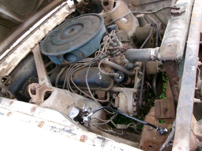 Unknown-Mustang-1965-White-11