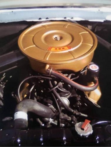 Unknown-Mustang-1965-White-11
