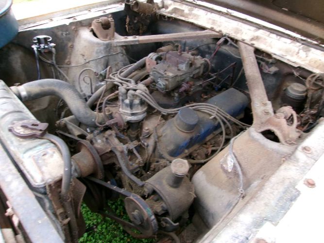 Unknown-Mustang-1965-White-12