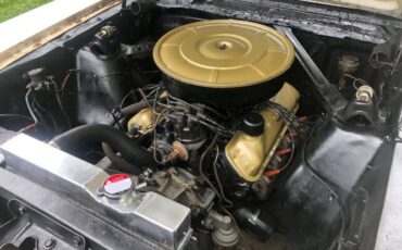 Unknown-Mustang-1965-White-12