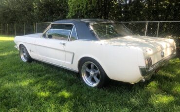 Unknown-Mustang-1965-White-13