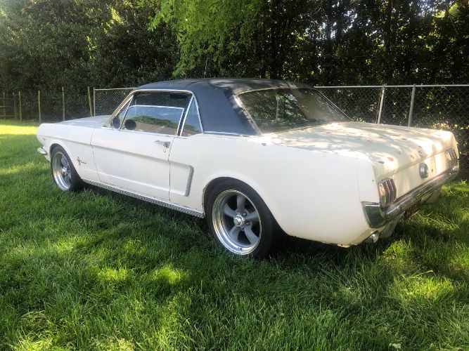 Unknown-Mustang-1965-White-13