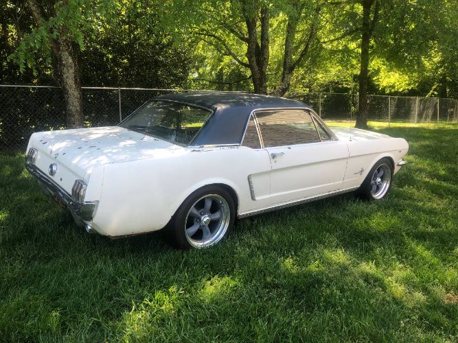 Unknown-Mustang-1965-White-15