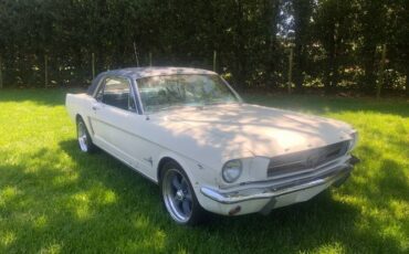 Unknown-Mustang-1965-White-16